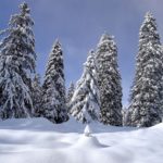 Si slitta finché si può… sognando tanta neve!
