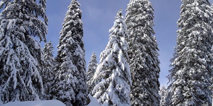 Si slitta finché si può… sognando tanta neve!
